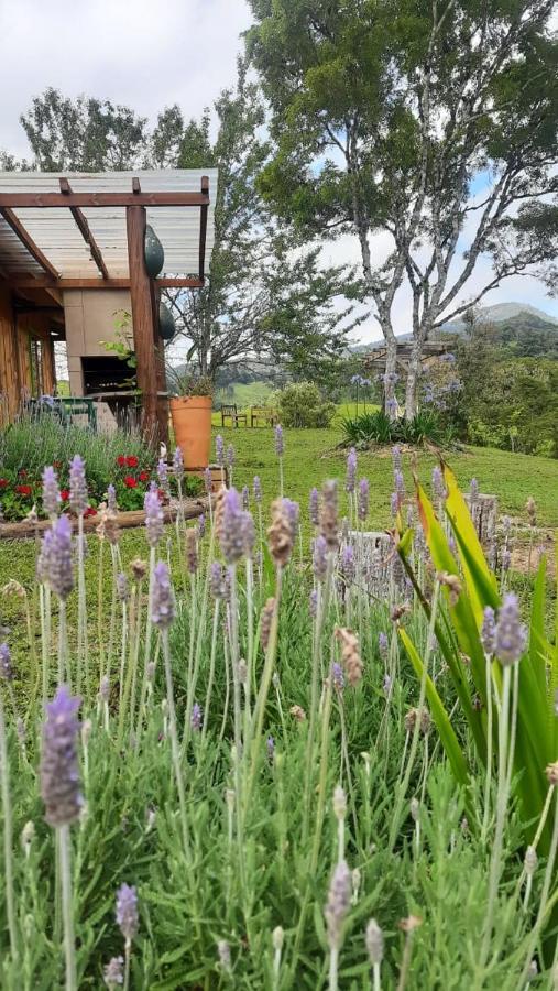 Sitio Recanto Da Guarda - Cabana Araucaria Bom Retiro  Dış mekan fotoğraf