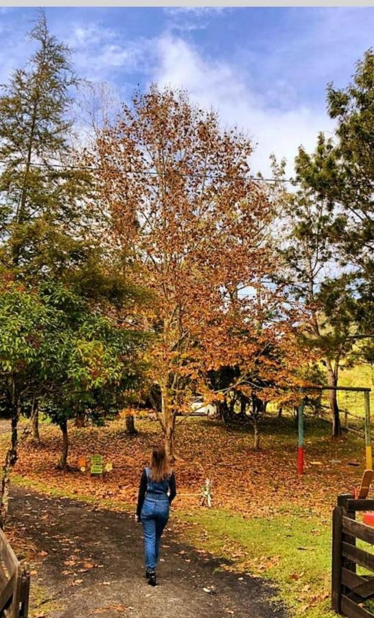 Sitio Recanto Da Guarda - Cabana Araucaria Bom Retiro  Dış mekan fotoğraf