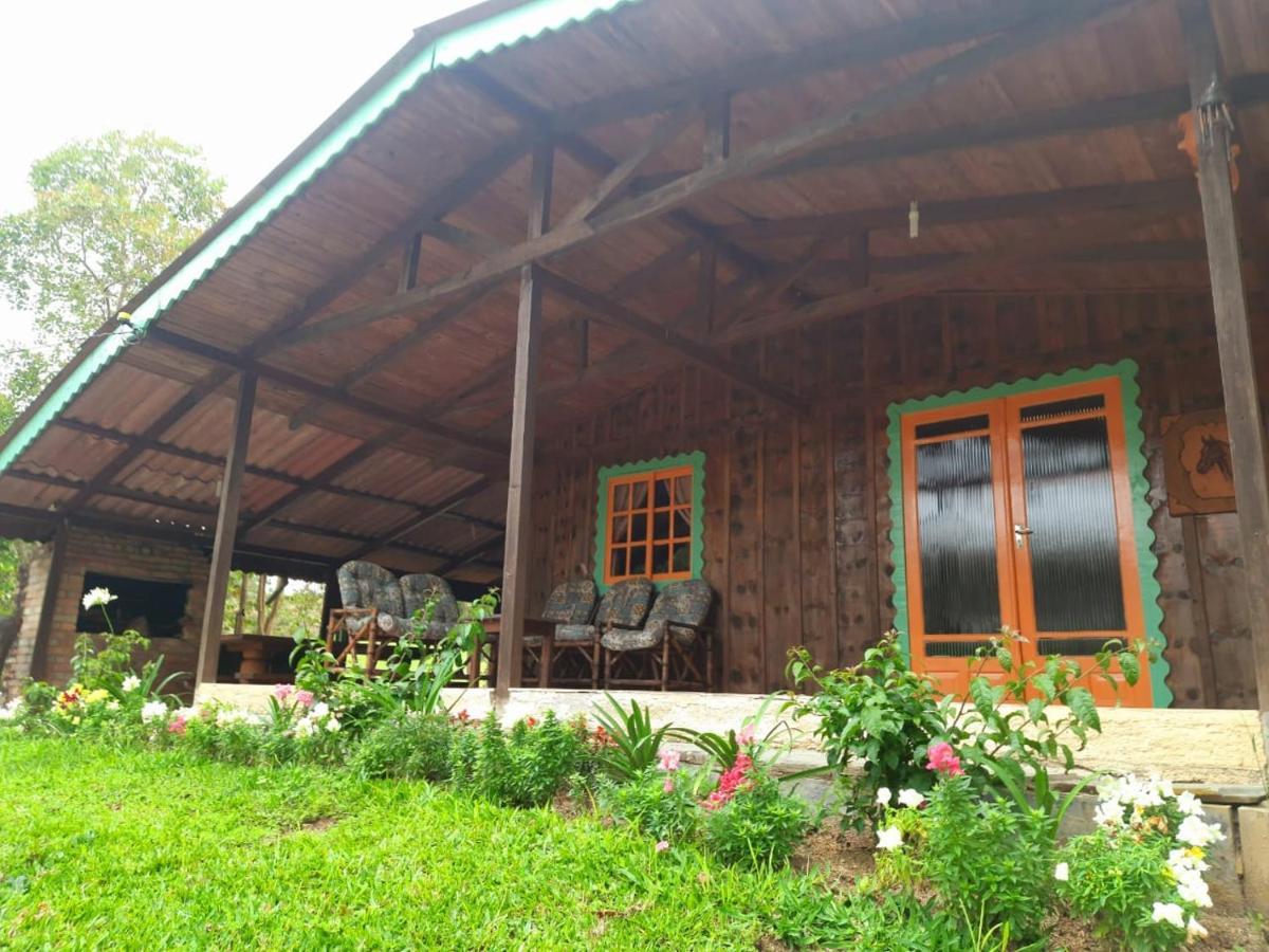 Sitio Recanto Da Guarda - Cabana Araucaria Bom Retiro  Dış mekan fotoğraf